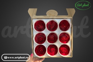 Ranunculus Criogenat Red02 - Img 2