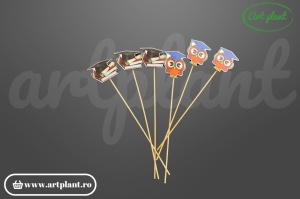 Set topper absolvire