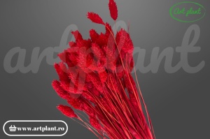 Talaris roșu pentru aranjamente florale