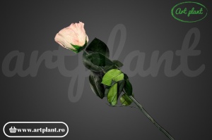 Trandafir criogenat Capucino Cho89 cu tijă, 30 cm - Img 2