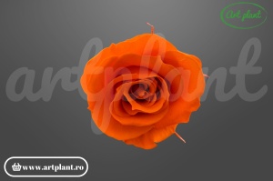 Trandafir criogenat portocaliu, floare naturală stabilizată Art Plant