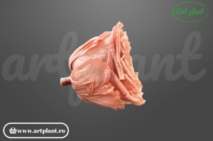 Cap de trandafir criogenat dusty pink 100% natural, Romantic Shape, Ø 6–6.5 cm, decor interior elegant, aranjament floral