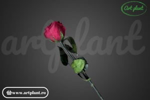 Trandafir criogenat Visiniu Pin02 cu tijă, 30 cm - Img 2