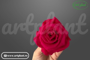 Trandafiri Criogenati 6cm Chery Blush