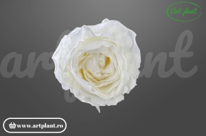 Trandafir criogenat alb ~4-5 cm - Art Plant