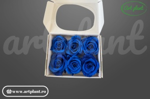 Trandafiri criogenați Mediu Albastru Regal - cutie 6 bucăți Art Plant