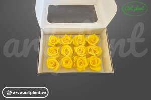 Trandafiri Criogenati Mini Sunny Yellow din Ecuador, 3-5 cm , inaltime 3-4 cm, 12 buc