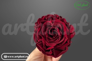 Trandafir criogenat Romantic Cabernet din Ecuador, Ø 6–6.5 cm • Înălțime 4.5–5.2 cm, 1 buc