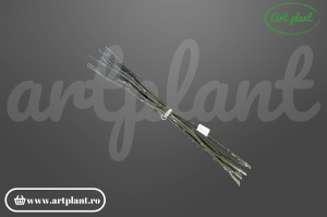 Tulpini criogenate - Img 2