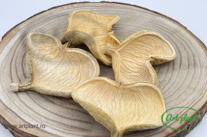 Badam natur crem