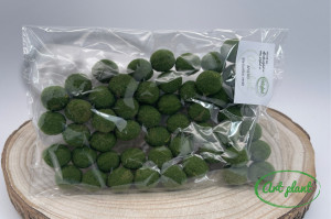 Bile bumbac verde