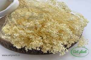 Broom Crem