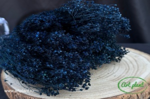 Broom Dark Blu