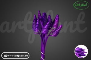Cane cone mini mov