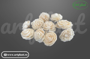 Cap bujor sola 6 cm cu petale dense stratificate, floare decorativă albă din lemn de sola