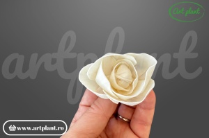 Capete camelie sola 4cm