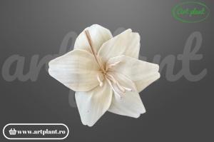 Cap crin sola 10 cm cu petale alungite clasice, floare decorativă elegantă din lemn de sola