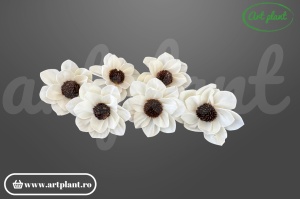 Cap Eva sola 8 cm cu petale generoase și curbate, floare decorativă romantică din lemn de sola