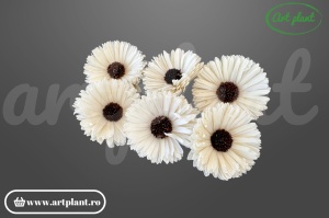 Cap floarea soarelui titonia sola 10 cm cu petale rotunjite compacte, floare decorativă din lemn de sola