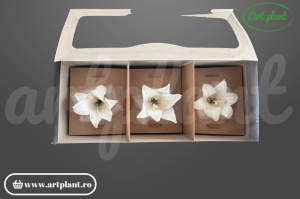 Crin criogenat alb – cutie 3 bucăți în compartimente individuale – Art Plant