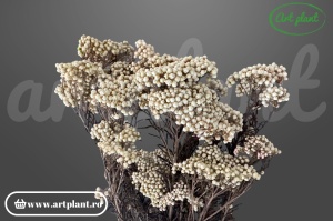 Floare de Orez Criogenata Natur Alb