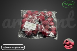 Fructe eucalipt clopot bordo - Img 2