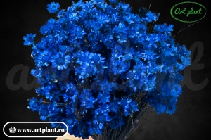 Glixia royal blue (G)