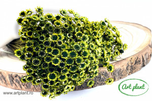 Glixia Verde Inchis