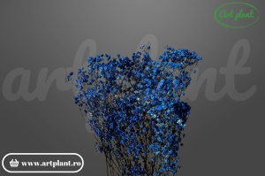 gypsophila criogenată albastru închis flori stabilizate pentru aranjamente florale