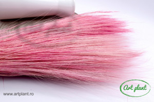 Iarba Barba Pink
