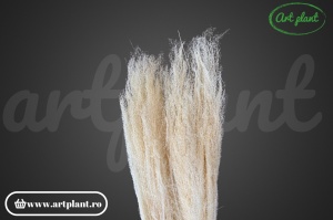 Iarbă ornamentală Agrostis Alb/ Crem