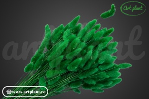 Lagurus verde smarald - Img 2