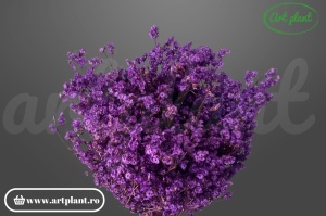 Limonium Sinensis Stabilizat Mov, buchet 100-120g, textură fină aerisită în nuanță mov pentru aranjamente botanice