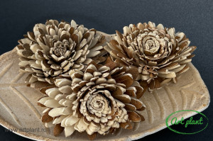 Ming Crizantema natur / maro 8 cm , 3 buc