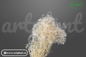 Mini gypsophila alb/ivoire (G)
