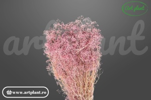 Mini gypsophila filder