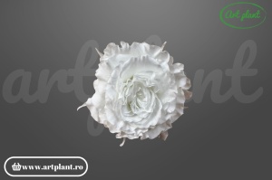 Mini Rose Romantic stabilizate alb-verde