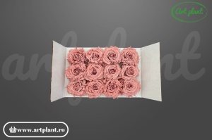 mini rose romantic stabilizate dusty pink flori delicate pentru aranjamente