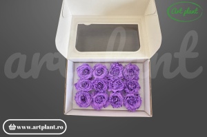 Mini Rose Romantic stabilizate Mov Lila din Ecua