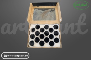 Cutie mini roze stabilizate negre Black Bla01, producător Rose Amor Ecuador, Art Plant
