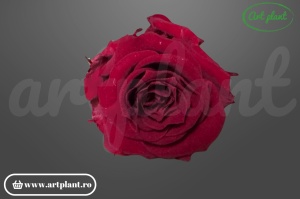 Mini Roze Rosu Red01 - Img 1