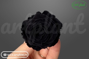 Mini Roze Warmi Black Bla01