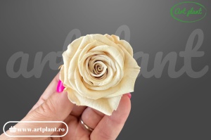 Mini Roze Warmi Caramel Toff 01