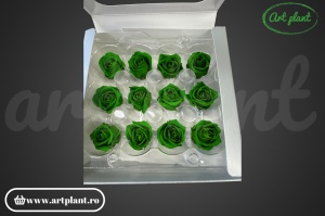 Miniroze Criogenate Emerald Green S - Img 2