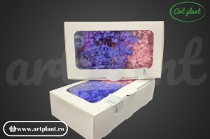 Mix Hortensie Stabilizată – Set cu 2 Culori Naturale