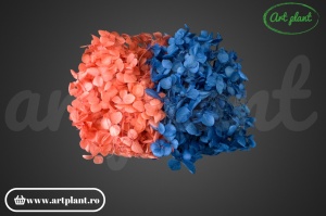 Mix Hortensie Stabilizată – Set cu 2 Culori Naturale - Img 1