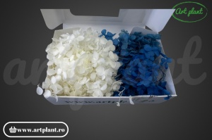 Mix Hortensie Stabilizată – Set cu 2 Culori Naturale - Img 1