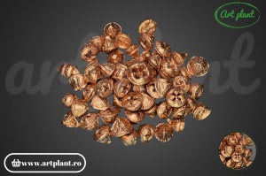 Nasturi eucalipt bronz