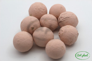 Nuci macadamia roz pal