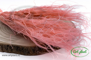 Stipa Roz